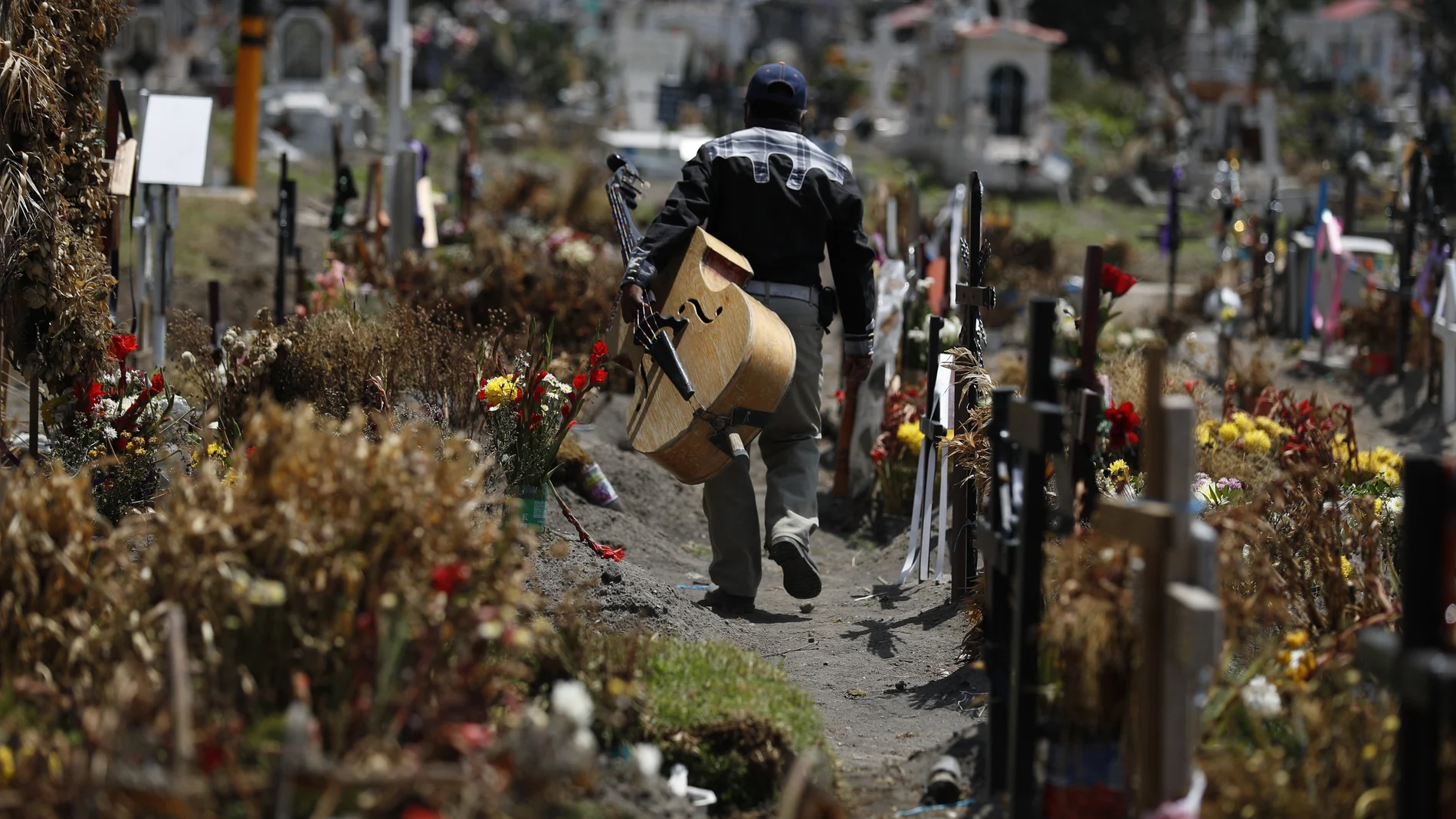 A musician walks between graves of people deceased in the last two months, in a section of the Municipal Cemetery of Valle de Chalco opened to accommodate the surge in deaths amid the ongoing coronavirus pandemic, on the outskirts of Mexico City, Thursday, July 2, 2020. (AP Photo/Rebecca Blackwell)