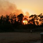 DAPHNE denuncia un incendio en Villa Calamari