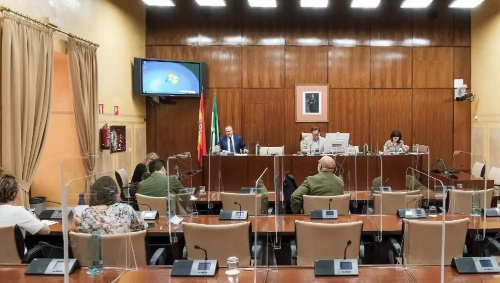 Foto de archivo de una sesión de la comisión de estudio sobre la recuperación económica y social de Andalucía a causa de la pandemia del Covid-19.