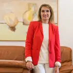 La consejera de Educación de la Junta de Castilla y León, Rocío Lucas