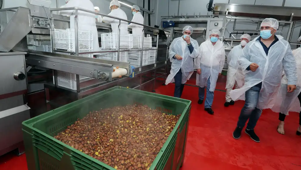 El consejero visita la empresa "Castañas Quintelo"