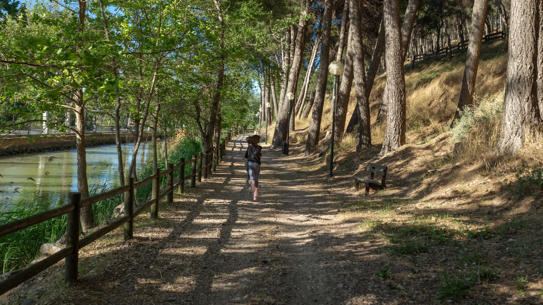 Zaragoza cuenta con numerosos parques y zonas verdes dentro de la ciudad