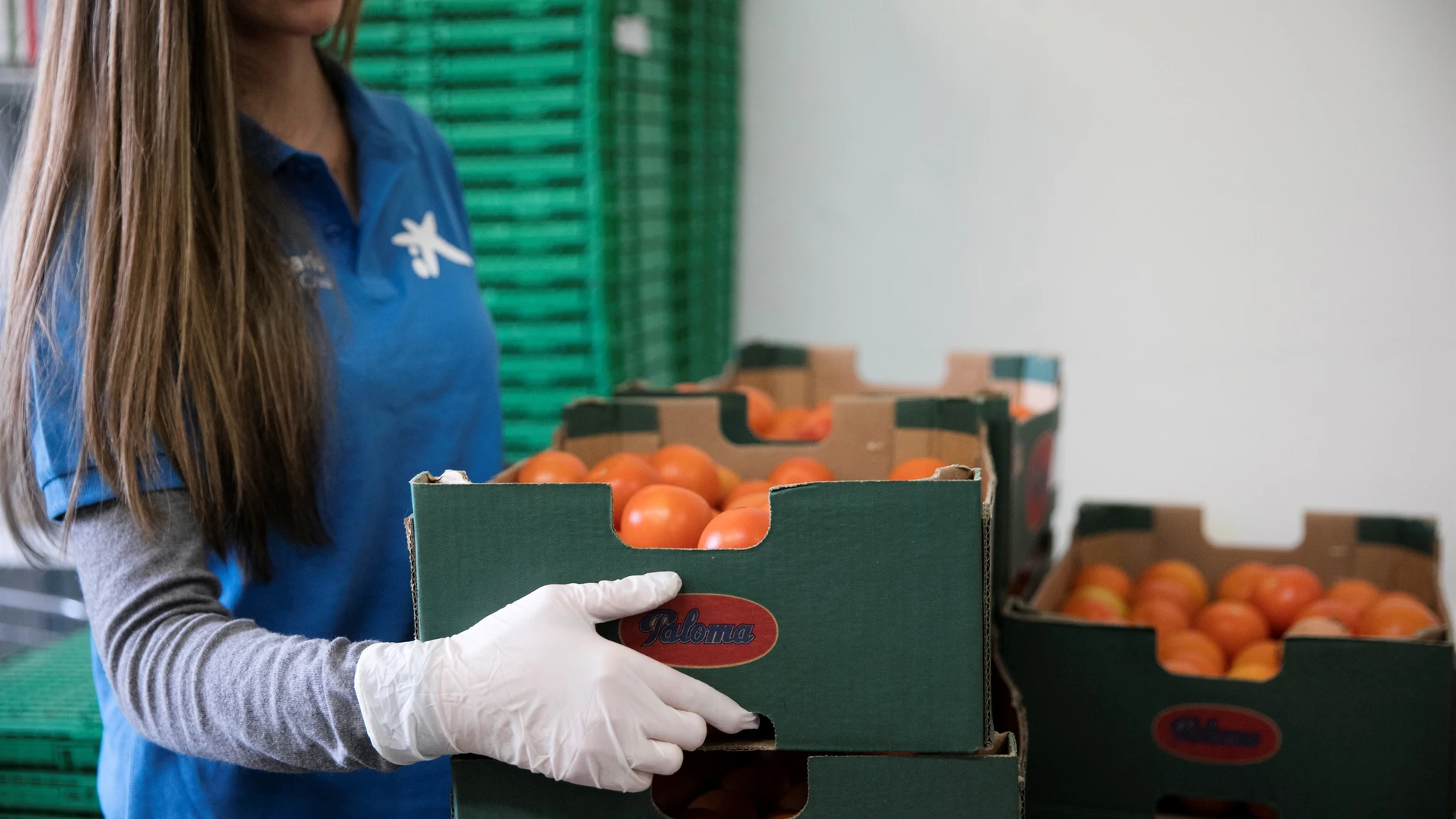 Fundación 'la Caixa' recauda casi 163.000 euros para los bancos de alimentos de CyL y 179 de productos entregados