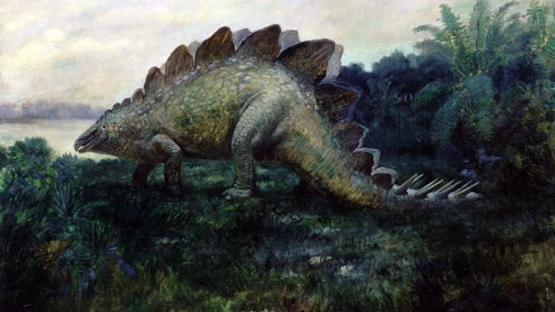 Cuadro de un estegosaurio pintado en 1914 por Gilmore, C.W. Ahora exhibido en el Smithsonian
