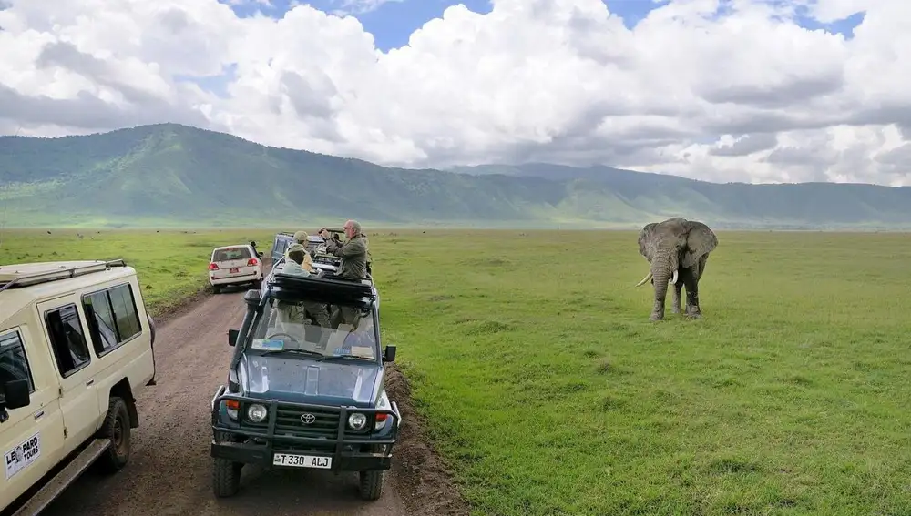 Los viajes de Mr. Worldwide: Safari en Tanzania y relax en Zanzíbar, la isla donde nació Freddie Mercury