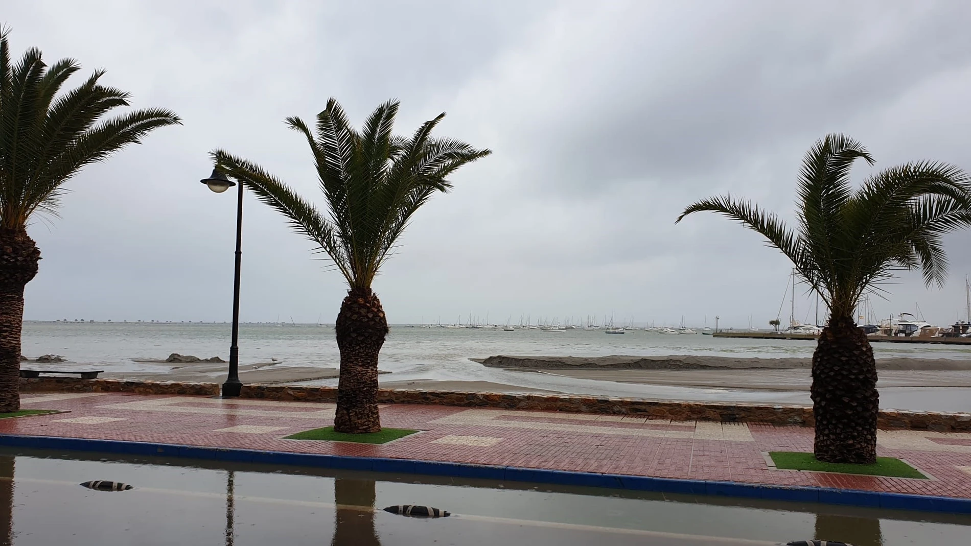 El Colegio de Ingenieros Agrónomos delimita el perímetro agrario del Mar Menor en el que se deben aumentar los controles