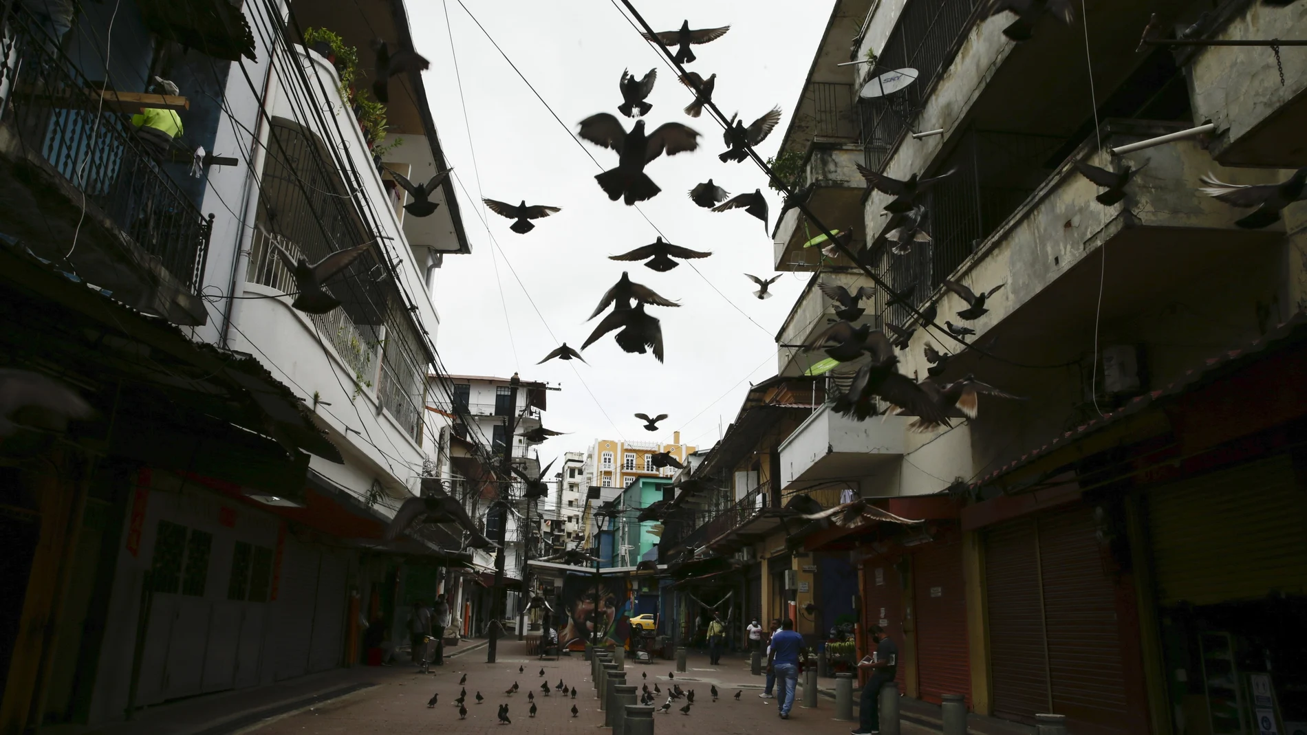 Pigeon fly amid the COVID-19 pandemic, in downtown Panama City, Tuesday, July 14, 2020. Given the sharp increase in the number of cases of COVID-19 infections and deaths in Panama, medical sectors are requesting to tighten up confinement measures in the capital and other areas with the highest infections. (AP Photo/Arnulfo Franco)