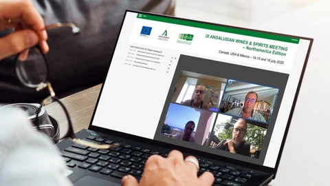 Catorce empresas andaluzas han participado en esta misión inversa