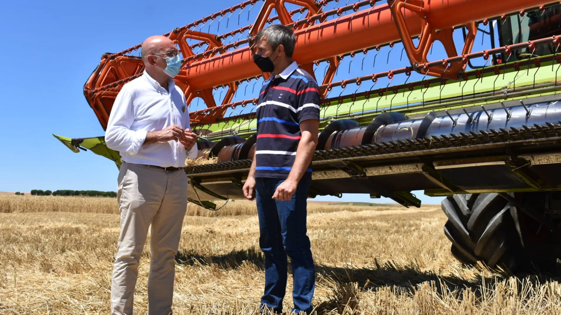 El consejero de Agricultura, Ganadería y Desarrollo Rural, Jesús Julio Carnero, visita un campo de cereal