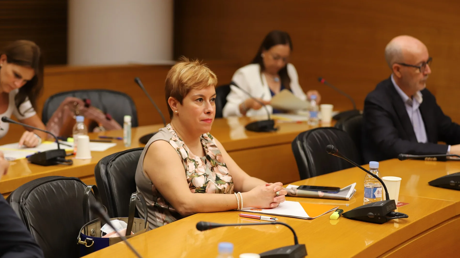 La portavoz de Educación de Cs en Les Corts, Merche Ventura