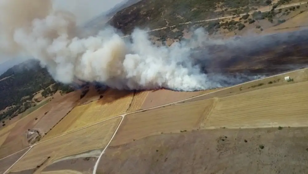 Incendio declarado en Colina (Burgos).JCYL20/07/2020
