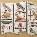 En la imagen vemos un fragmento de escritura jeroglífica proveniente de la tumba de Seti I (Dinastía XIX, siglo XIII a.C.)