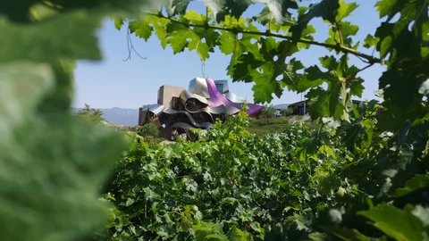 El hotel del Marqués de Riscal, visto desde sus viñedos.