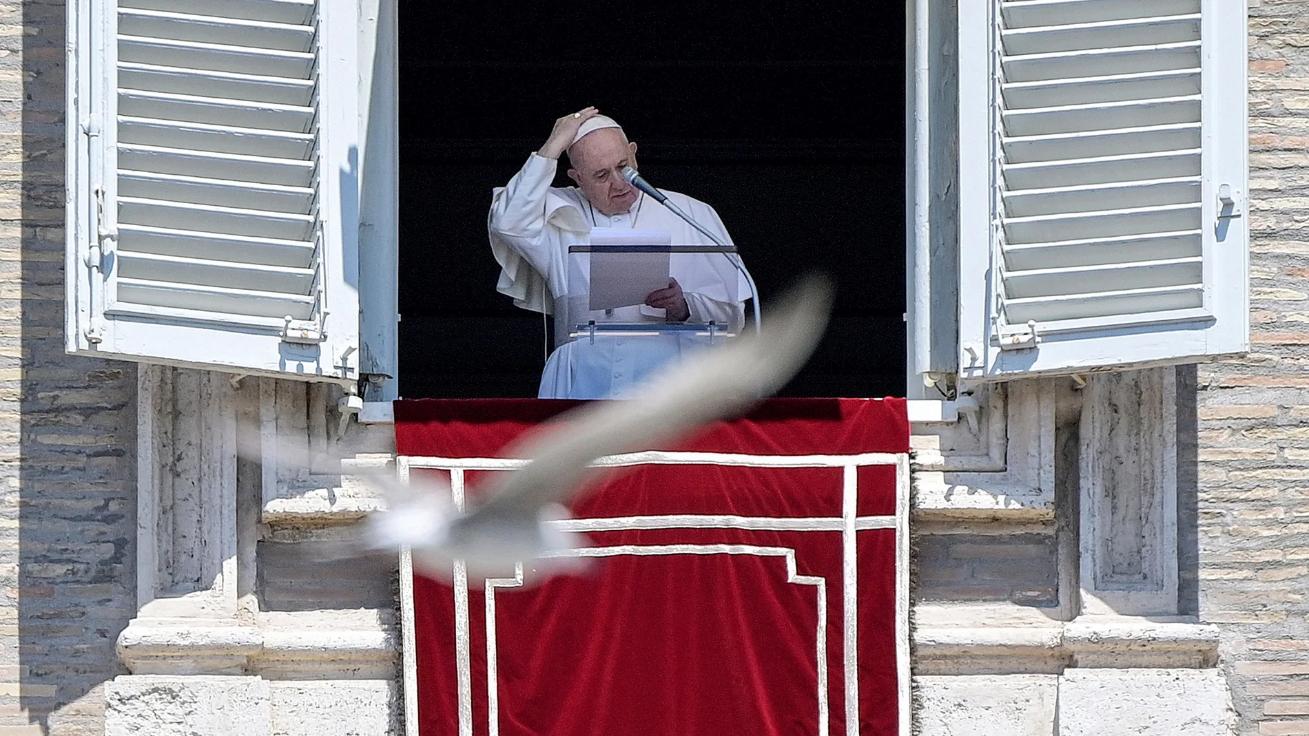 El papa anima a los jóvenes a prestar atención a los ancianos en la pandemia