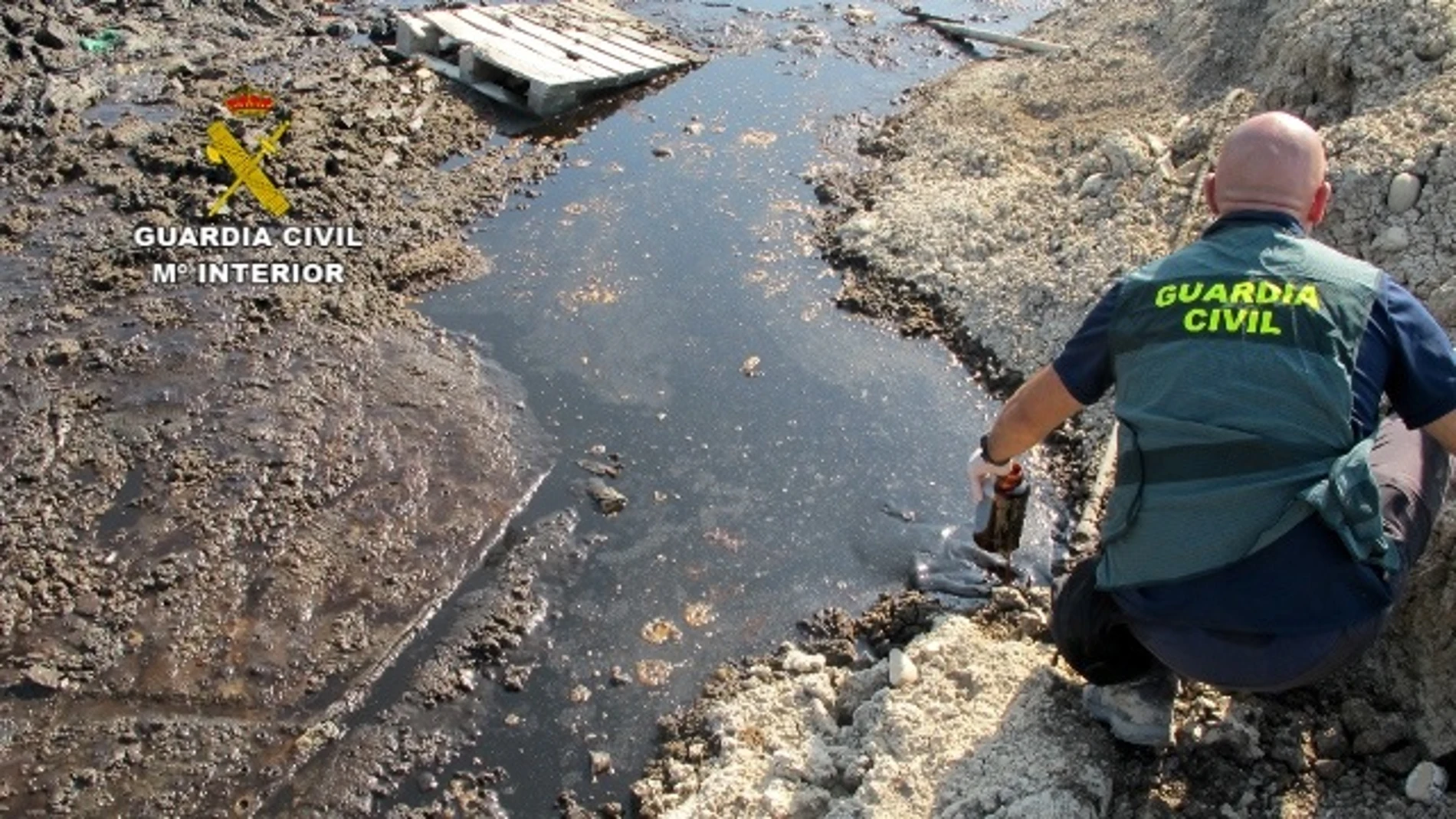 Un agente del Seprona toma muestras del vertido en el río Guadalbullón