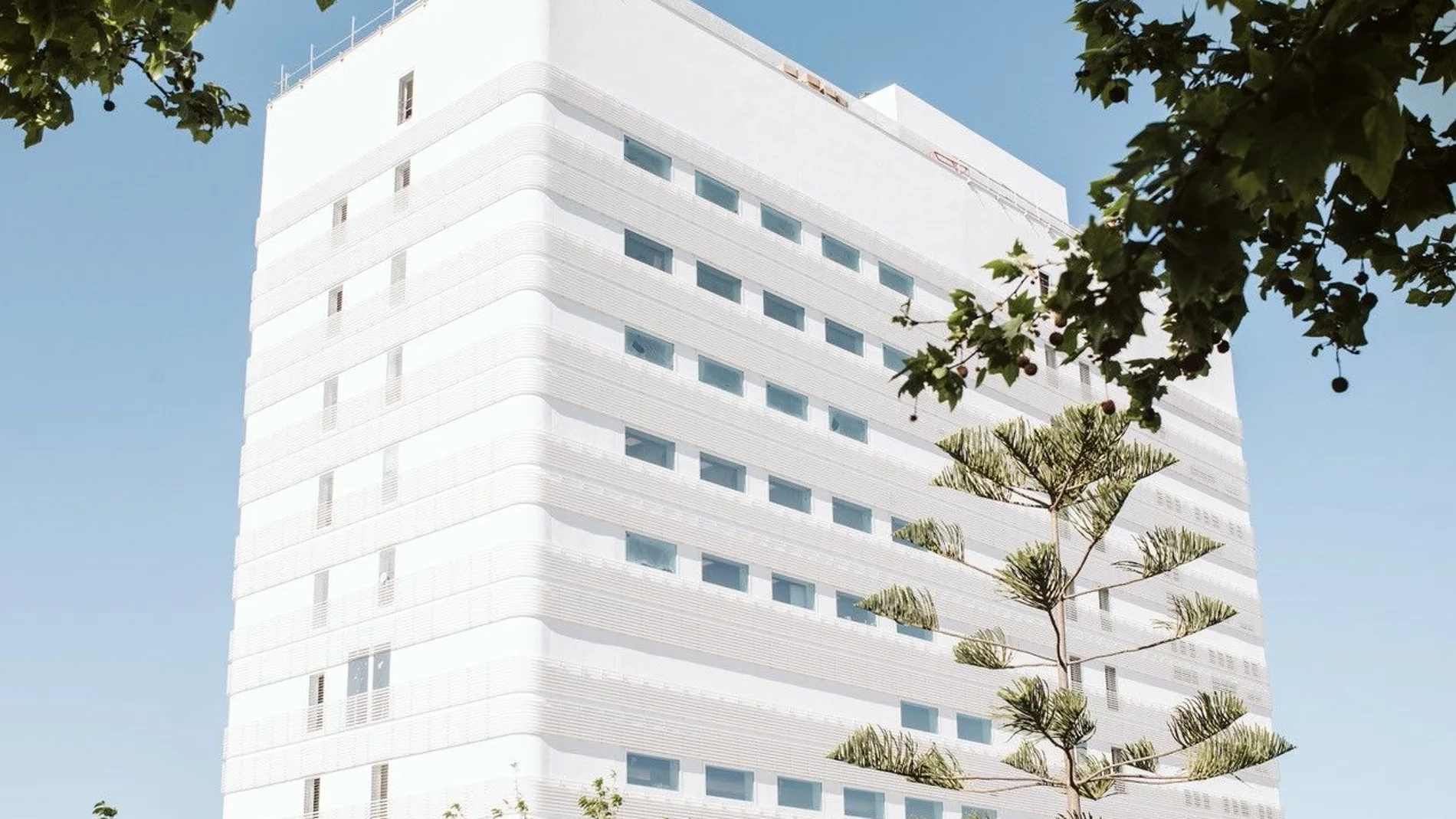 El primer hospital monográfico del sistema musculoesquelético de España ha abierto sus puertas en Valencia, especializado en traumatología, reumatología, rehabilitación y medicina deportiva.