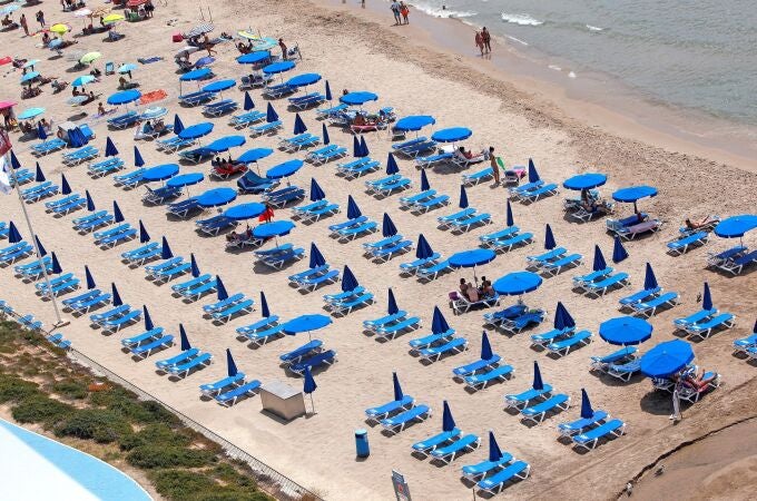 Vista de una zona de hamacas en la playa de Poniente de Benidorm
