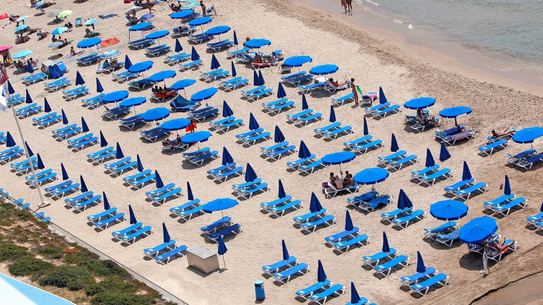 Vista de una zona de hamacas en la playa de Poniente de Benidorm