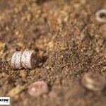 Restos de un collar de cuentas de mármol perteneciente a un ajuar funerario