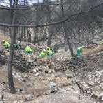 Trabajos de recuperación en el incendio de Andilla