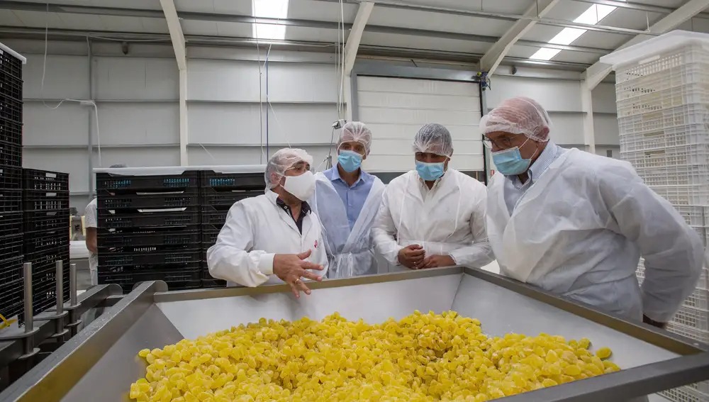 El consejero de Agricultura, Ganadería y Desarrollo Rural, Jesús Julio Carnero, visita las instalaciones de la empresa familiar Golydul. Durante la visita estuvo acompañado por el presidente de la Diputación, Carlos García y el delegado Territorial, José Francisco Hernández.