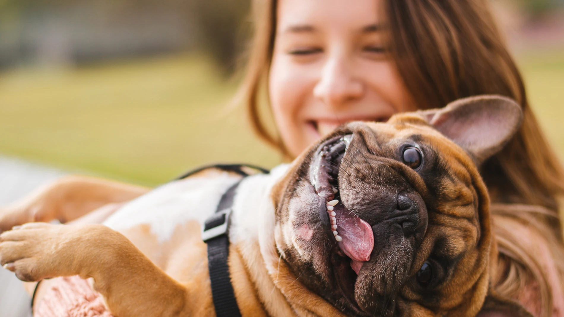 Tener un animal de compañía tiene beneficios para la salud mental.