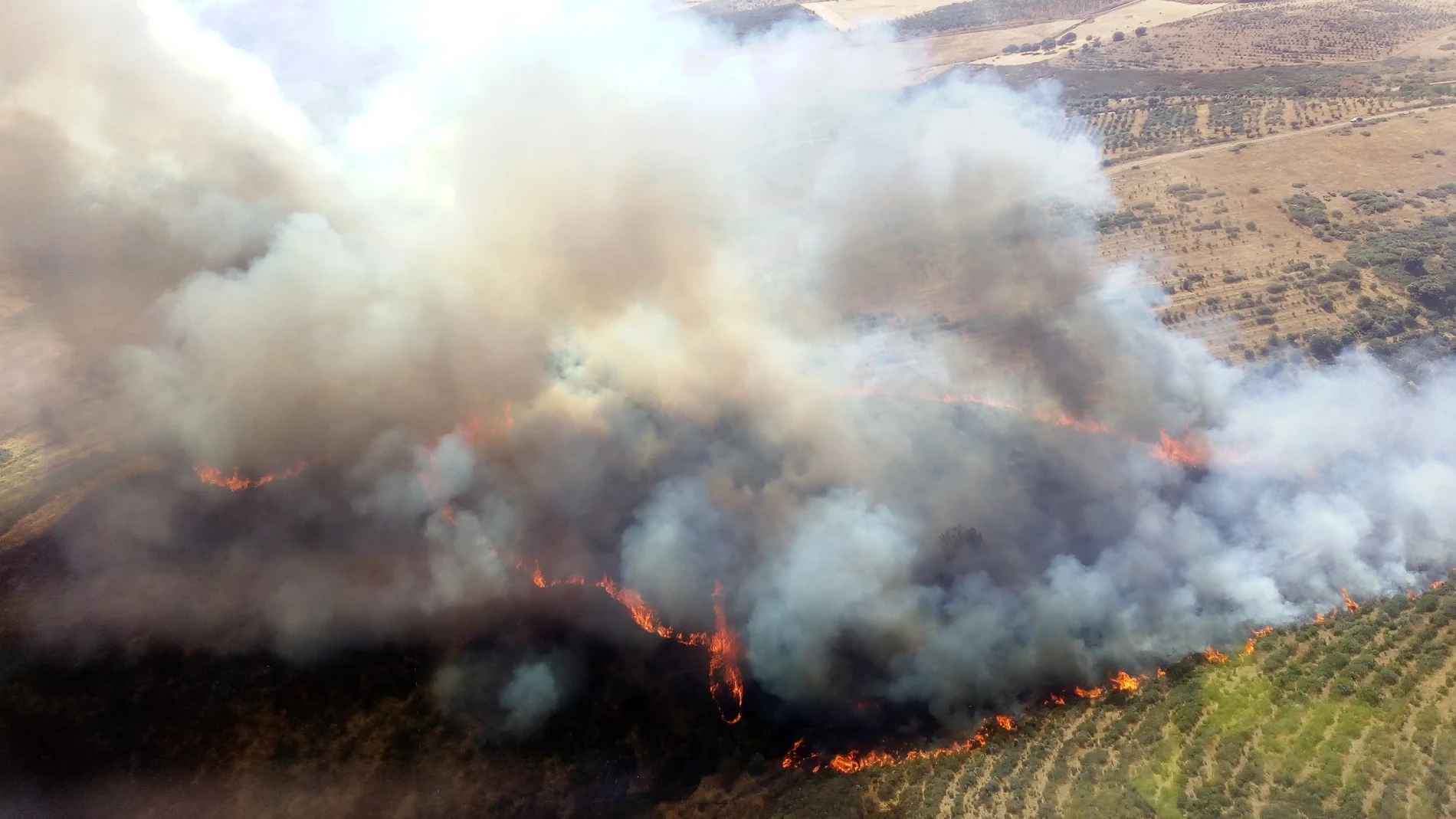 Incendio en Serradilla del Llano
