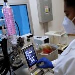 Las personas que han contraído la Covid-19 tienen memoria inmunológica para protegerse contra la reinfección durante al menos ocho meses, según un nuevo estudio publicado en “Science Immunology”