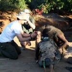 Las vacaciones pre-Covid de Luis Quevedo en Tanzania.