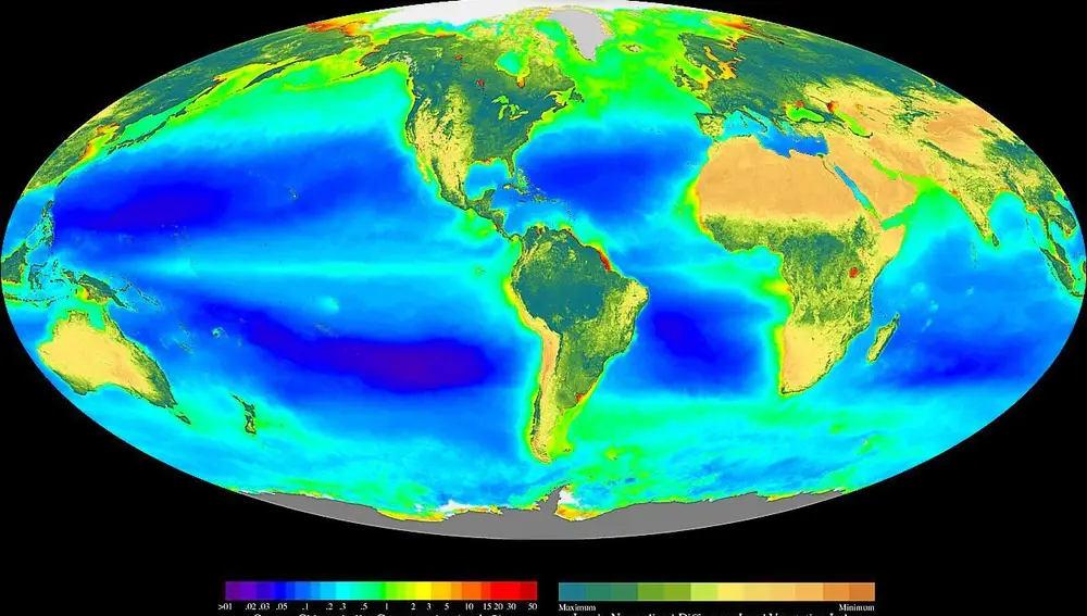 Este mapa del satélite OrbView-2 nos muestra la concentración de clorofila a en diversas zonas del océano, lo cual nos permite estimar su productividad. Los colores fríos, como el azul y el violeta, son zonas de baja productividad; los colores cálidos, como el amarillo y el rojo, de alta productividad. Como podemos ver, grandes zonas de los océanos Atlántico, Pacífico e Índico son notablemente pobres, mientras que las latitudes altas, los márgenes de los continentes y una banda que atraviesa el Ecuador son regiones razonablemente ricas, debido al transporte de nutrientes por parte de las corrientes oceánicas. En el mapa también destacan las desembocaduras de los grandes ríos, en las que éstos depositan las sustancias inorgánicas que han ido recogiendo en su recorrido por el interior continental.