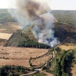 Incendio en la localidad salmantina de Serradilla del Arroyo, con treinta hectáreas de pinar en riesgo