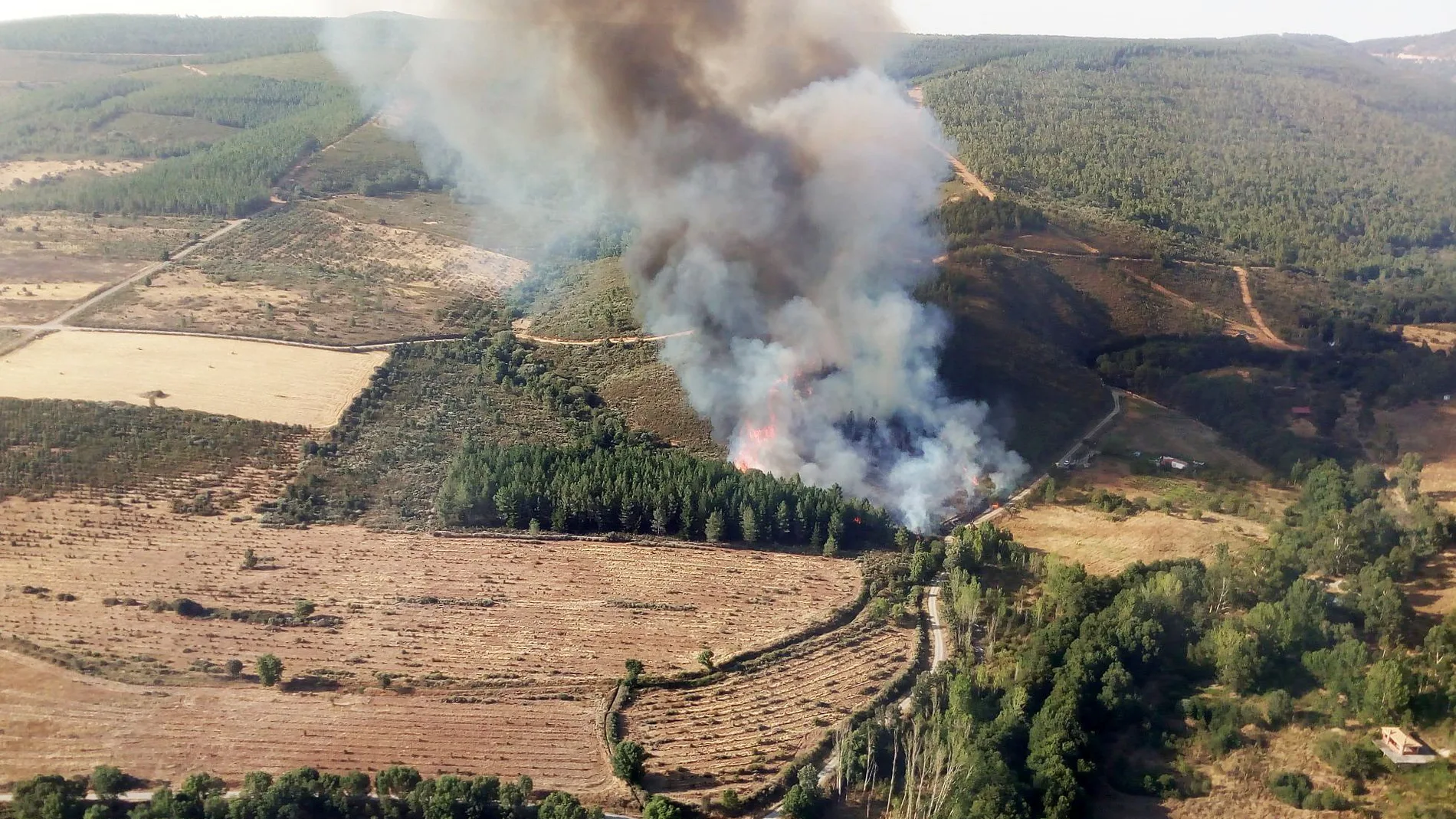 Incendio en la localidad salmantina de Serradilla del Arroyo, con treinta hectáreas de pinar en riesgo