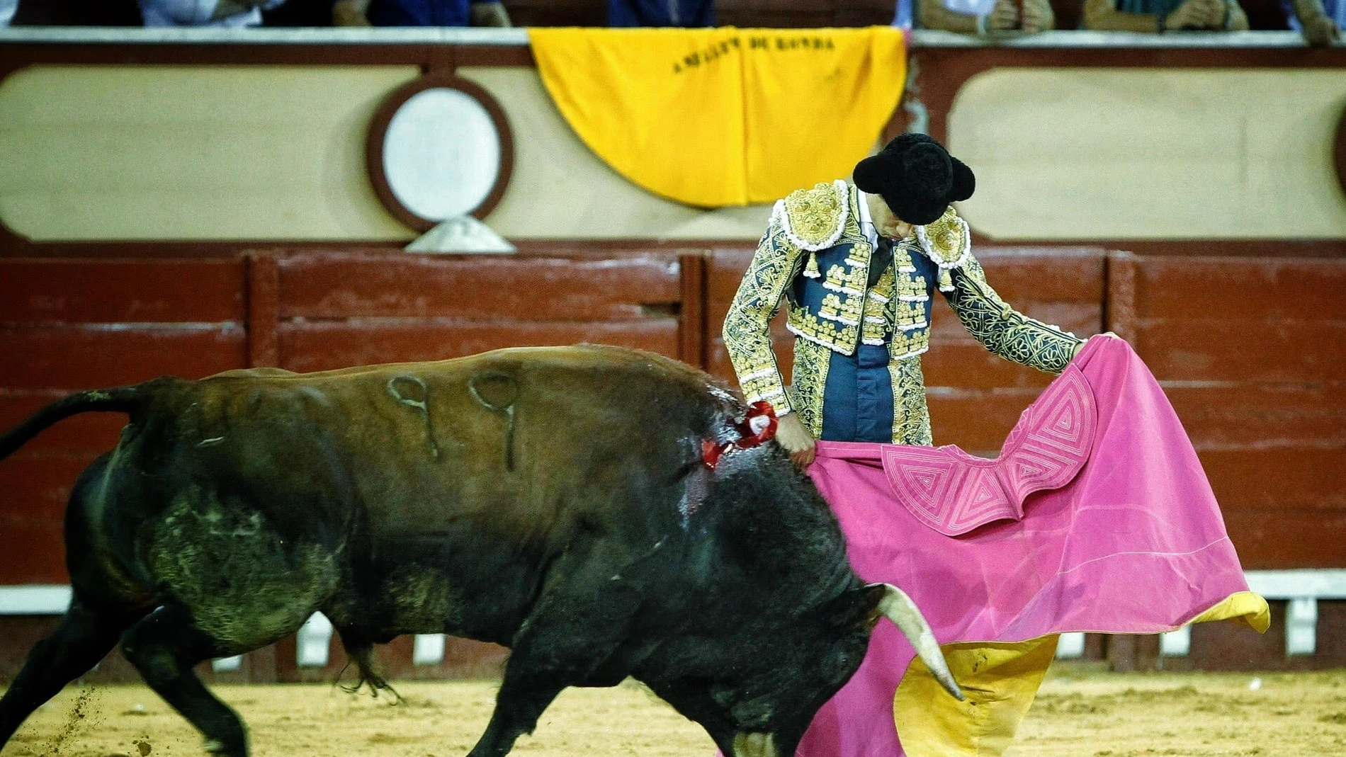 Cádiz.- Adelante pide a la Junta explicaciones sobre las medidas en la corrida de toros celebrada el jueves en El Puerto