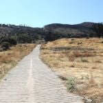 Dámaso contempla la recuperación de su finca, azotada por el fuego que se desató el 28 de junio del pasado año. Al fondo, aún pueden verse sus terribles consecuencias