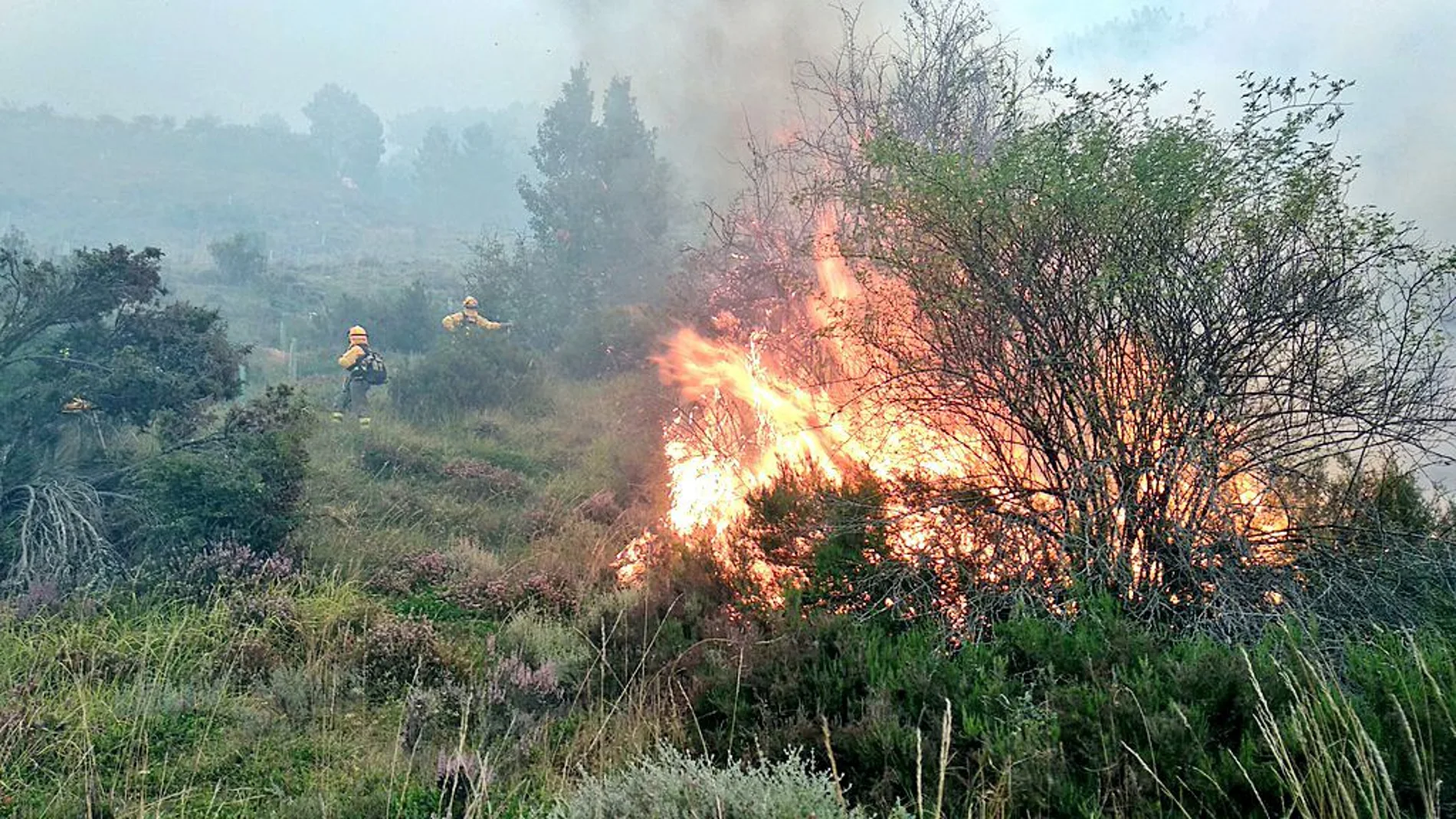 Miembros del servicio de extinción de incendios sofocan las llamas del incendio de Tabanera de Valdavia