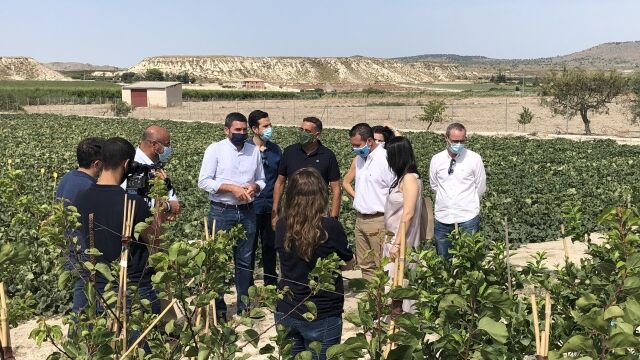 El consejero de Agua, Agricultura, Ganadería, Pesca y Medio Ambiente, Antonio Luengo, visita la finca experimental de Ideagro en la pedanía muleña de Yécha
