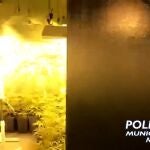 Intervenida una plantación de marihuana en Puente VallecasPOLICÍA MUNICIPAL10/08/2020
