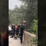 Rescate de un turista italiano caído en el río Guadalquivir