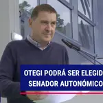 Otegi podrá ser elegido senador autonómico si lo decide EH Bildu