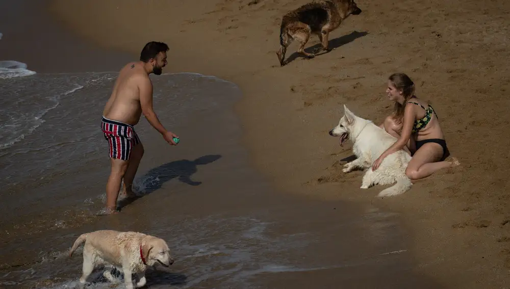 Dueños y sus mascotas en la playa de Llevant de Barcelona