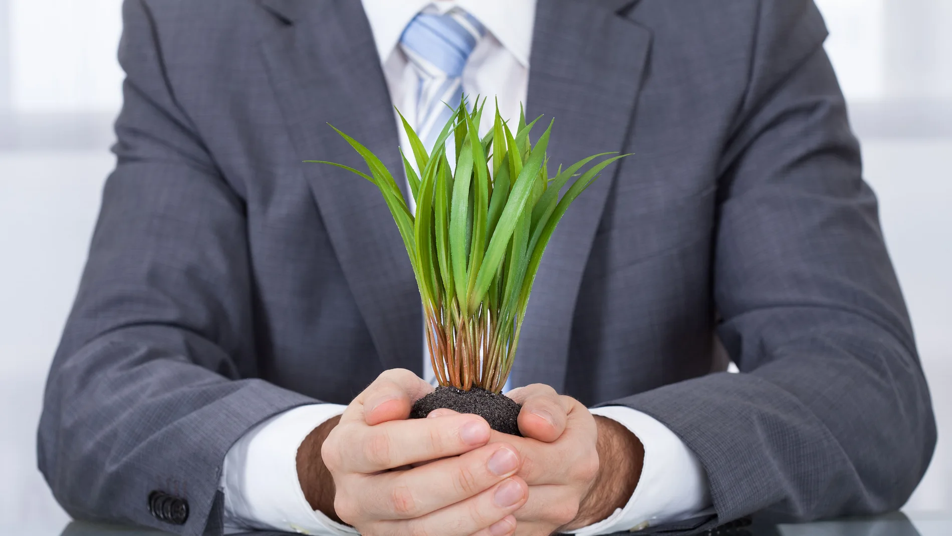 Businessperson Hand Holding Green Grass With Soil.