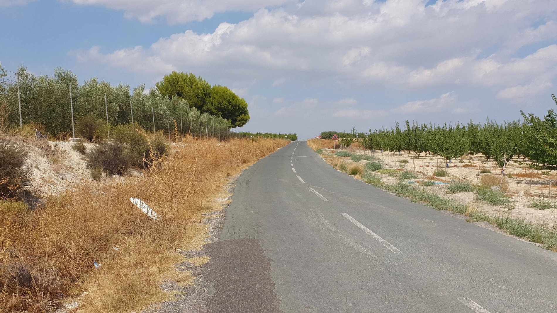 La Comunidad invierte 1,3 millones a ampliar la carretera que une Campos del Río con Alguazas