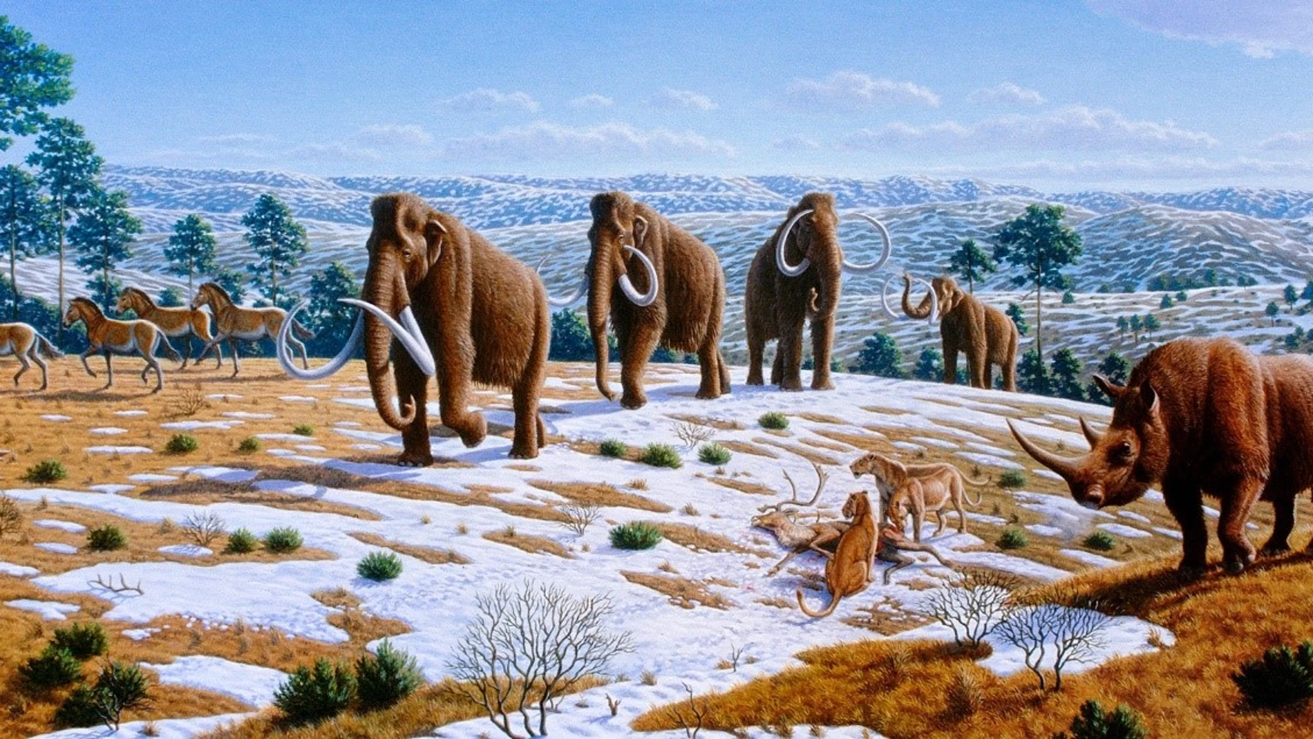 Caballos, leones cavernarios, rinoceronte y mamuts lanudos en el norte de España durante el Pleistoceno.