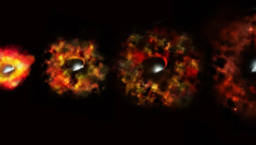 Recreación artística de una supernova fallida, en la que vemos la estrella inicial y cómo en su centro se ha formado un objeto compacto, que normalmente será un agujero negro. Como la supernova no ha logrado explotar, el “cuerpo” de la estrella sigue cerca del agujero negro, que temporalmente se alimenta de la nebulosa en la que se ha transformado la estrella.