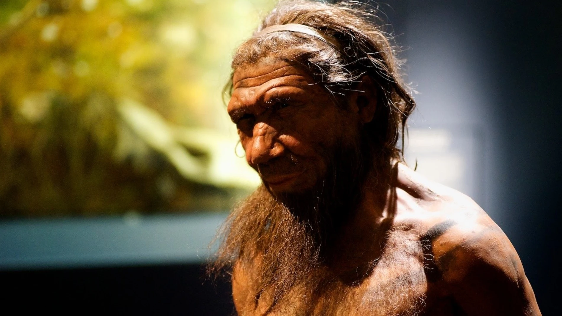 Reconstrucción de un neandertal exhibida en el Museo de Historia Natural de Londres.