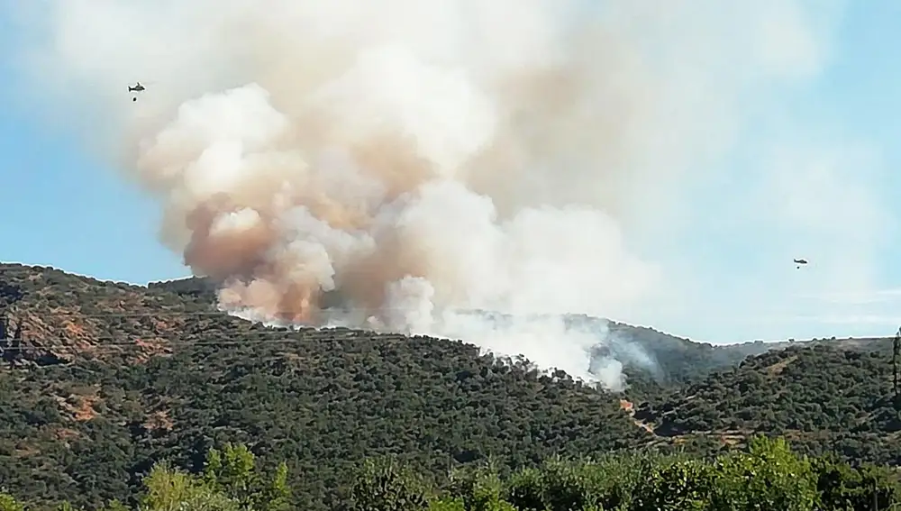 Incendio forestal en Saucelle (Salamanca)