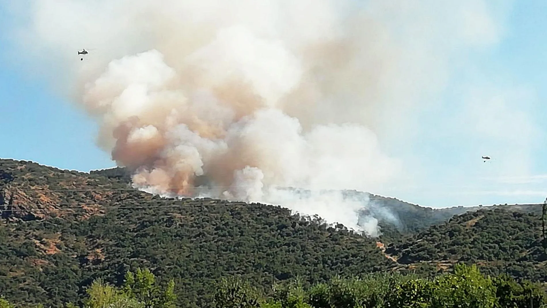 Incendio forestal en Saucelle (Salamanca)