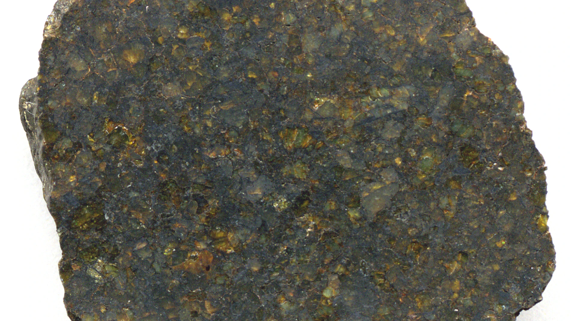 Un fragmento del meteorito NWA 4231, una ureilita encontrada en el noroeste de África.