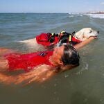 Perros socorristas salvan cerca de 40 vidas al año en Italia