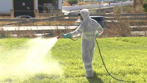 Labores de fumigación en la localidad sevillana de Coria del Río